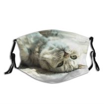 yanfind Comfortable Egyptian Whisker Fur Young Cat Kitty Cute Enjoy Carnivore Lazy Window Dust Washable Reusable Filter and Reusable Mouth Warm Windproof Cotton Face