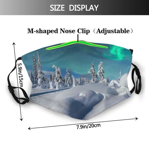 yanfind Ice Europe Frost Contemplation Snowdrift Star Arctic Landscape Frozen Finnish Powder Taiga Dust Washable Reusable Filter and Reusable Mouth Warm Windproof Cotton Face