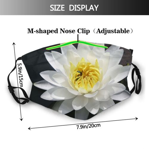 yanfind Plant Aquatic Lily Fragrant Flower Plant Flowering Sacred Lotus Flower Petal Dust Washable Reusable Filter and Reusable Mouth Warm Windproof Cotton Face