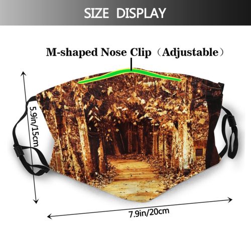 yanfind Deciduous Alley Sunlight Leaf Plant Tree Plant Forest Autumn Road Alley Woody Dust Washable Reusable Filter and Reusable Mouth Warm Windproof Cotton Face