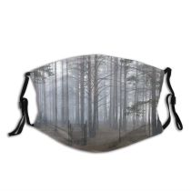 yanfind Fir Morning Tree Tree Fog Forest Fog Northern Spruce Biome Natural Atmospheric Dust Washable Reusable Filter and Reusable Mouth Warm Windproof Cotton Face