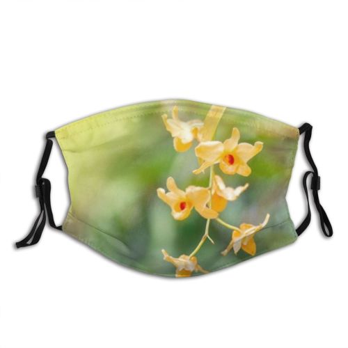 yanfind  Spring Flower Sunrise Garden Flora Blooming Grass Delicate Plant Macro  Dust Washable Reusable Filter and Reusable Mouth Warm Windproof Cotton Face