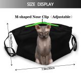yanfind Isolated Reaching Talk Whisker Naked Cat Sphinx Cute Grumpy Bald Hairless Pedigree Dust Washable Reusable Filter and Reusable Mouth Warm Windproof Cotton Face