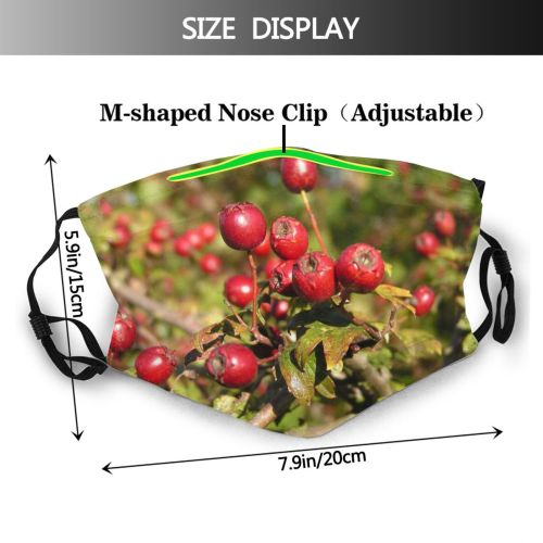 yanfind Flowering Hawthorn Plant Lingonberry Flower Berries Berry Tree Bush Plant Autumn Fruit Dust Washable Reusable Filter and Reusable Mouth Warm Windproof Cotton Face