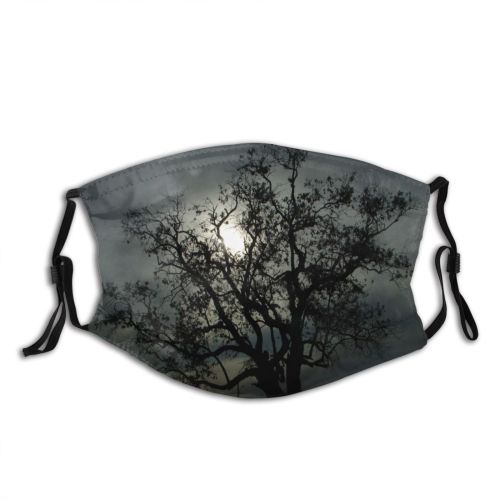 yanfind Cloud Landscape Night Sky Tree Light Tree Branch Atmosphere Natural Atmospheric Sorocaba Dust Washable Reusable Filter and Reusable Mouth Warm Windproof Cotton Face