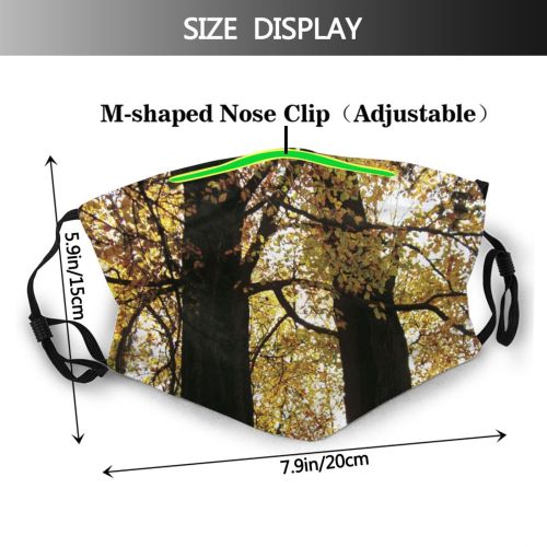 yanfind Temperate Autumn Woody Broadleaf Branch Wood Forest Leaf Hardwood Northern Tree Tree Dust Washable Reusable Filter and Reusable Mouth Warm Windproof Cotton Face