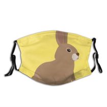yanfind Isolated Fur Kind Young Little Cute Easter Friendly Vet Hare Wildlife Tiny Dust Washable Reusable Filter and Reusable Mouth Warm Windproof Cotton Face