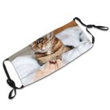 yanfind Bedroom Fur Support Bed Emotional Cat Give Cute Relationship Striped Open Caress Dust Washable Reusable Filter and Reusable Mouth Warm Windproof Cotton Face