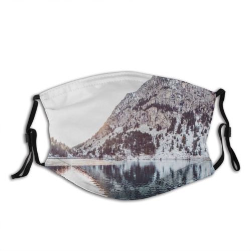 yanfind Ice Bush Rose Frost Twig Pastel Defocused Range Landscape Frozen Powder Peak Dust Washable Reusable Filter and Reusable Mouth Warm Windproof Cotton Face