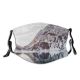 yanfind Ice Bush Rose Frost Twig Pastel Defocused Range Landscape Frozen Powder Peak Dust Washable Reusable Filter and Reusable Mouth Warm Windproof Cotton Face