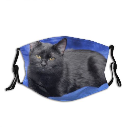 yanfind Fur Young Cat Cute Fear Watching Catnip Bengal Female Homeless Mouse Beautiful Dust Washable Reusable Filter and Reusable Mouth Warm Windproof Cotton Face