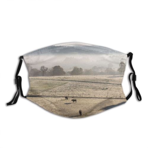 yanfind Dawn Atmospheric Frost Four Mood Grass Landscape Dairy Holstein Agriculture Tranquility Rural Dust Washable Reusable Filter and Reusable Mouth Warm Windproof Cotton Face
