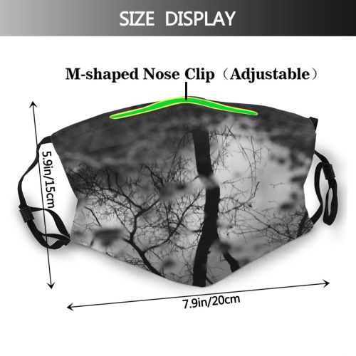yanfind Natural Autumn Landscape Sky Branch Clouds Tree Tree Storm Reflection Rain Dust Washable Reusable Filter and Reusable Mouth Warm Windproof Cotton Face