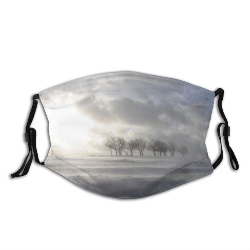 yanfind Morning Winter Atmospheric Blizzard Cloud Sky Snow Tree Tree Storm Daytime Trees Dust Washable Reusable Filter and Reusable Mouth Warm Windproof Cotton Face