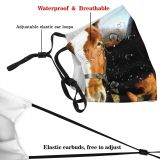yanfind Ranch Vertebrate Mare Mustang Horse Sorrel Herd Mare Horses Snout Horse Belgium Dust Washable Reusable Filter and Reusable Mouth Warm Windproof Cotton Face