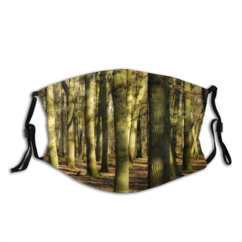 yanfind Winter Natural Woody Landscape Light Forest Tree Trunk Forest Woodland Trees Plant Dust Washable Reusable Filter and Reusable Mouth Warm Windproof Cotton Face