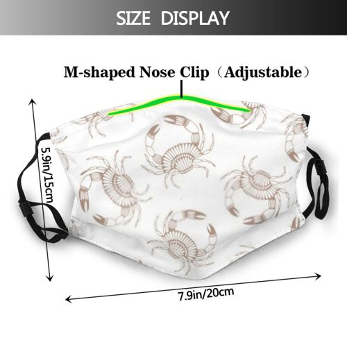 yanfind Isolated Decor Life Vacation Cute Seamless Seafood Fauna Summer Ornament Design Beach Dust Washable Reusable Filter and Reusable Mouth Warm Windproof Cotton Face
