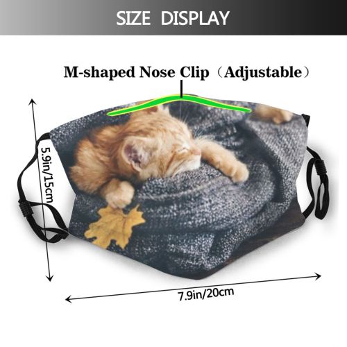 yanfind Comfortable Comfort Knitting Cat Cute Resting Warm Cozy Grey Wooden Child Autumn Dust Washable Reusable Filter and Reusable Mouth Warm Windproof Cotton Face