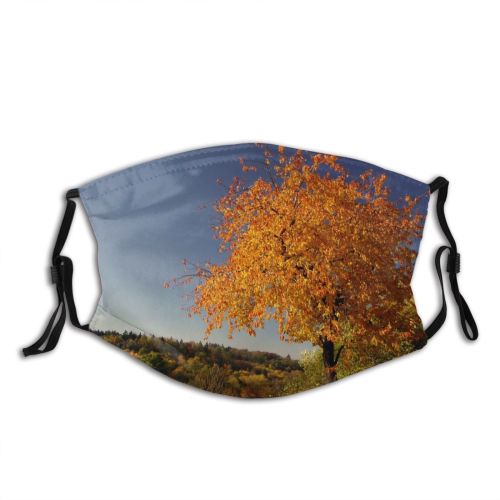 yanfind Hill Natural Autumn Woody Landscape Sky Czech Plant Branch Europe Forest Leaf Dust Washable Reusable Filter and Reusable Mouth Warm Windproof Cotton Face