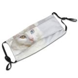 yanfind Lay Fur Bed Cat Kitty Cute Pure Turkish Cozy Van Cuteness Creme Dust Washable Reusable Filter and Reusable Mouth Warm Windproof Cotton Face