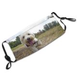 yanfind Highland Dog Cairn Walk Canidae Dog West Carnivore Park Terrior Sky West Dust Washable Reusable Filter and Reusable Mouth Warm Windproof Cotton Face
