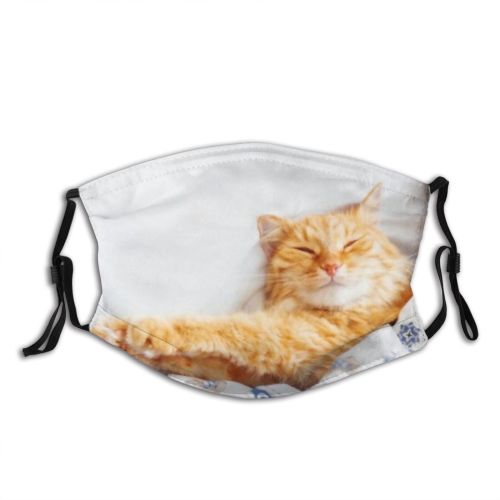 yanfind Comfort Fur Bed Cat Cute Cozy Ginger Hide Sweet Pet Sleep Daylight Dust Washable Reusable Filter and Reusable Mouth Warm Windproof Cotton Face