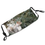 yanfind Garden Wild Rodent Ground Fox Squirrel Fur Cheeky Whiskers Nut Tail Wildlife Dust Washable Reusable Filter and Reusable Mouth Warm Windproof Cotton Face