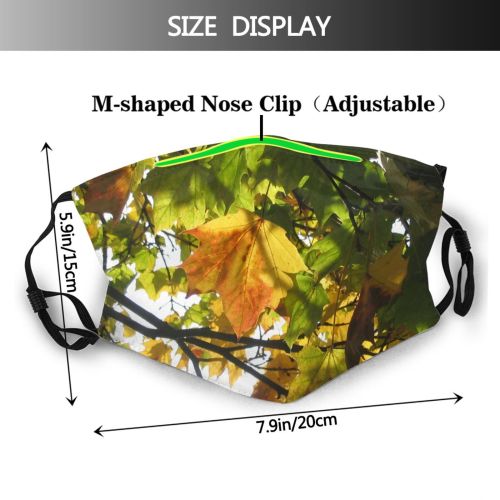yanfind Maple Autumn Woody Leaves Plant Branch Warsaw Leaf Sunlight Leaf Tree Poland Dust Washable Reusable Filter and Reusable Mouth Warm Windproof Cotton Face