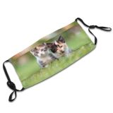 yanfind Garden Lovely Fur Young Kitty Cat Cute Watching Relax Grass Curious Sweet Dust Washable Reusable Filter and Reusable Mouth Warm Windproof Cotton Face