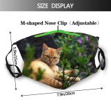 yanfind Garden Fur Young Cat Kitty Cute Grass Beautiful Pretty Pet Eyes Portrait Dust Washable Reusable Filter and Reusable Mouth Warm Windproof Cotton Face