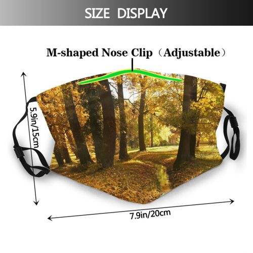 yanfind Deciduous Landscape Leaf Tree Plant Natural Autumn Autumn Woodland Woody    Dust Washable Reusable Filter and Reusable Mouth Warm Windproof Cotton Face