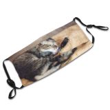 yanfind Comfortable Lick Washes Whisker Fur Young Striped Cat Kitty Cute Emotions Room Dust Washable Reusable Filter and Reusable Mouth Warm Windproof Cotton Face
