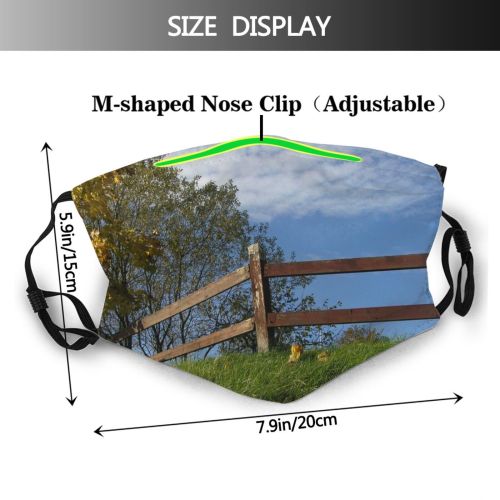 yanfind Family Rural Sky Fence Tree Fence Wood Grass Area Autumn Dust Washable Reusable Filter and Reusable Mouth Warm Windproof Cotton Face