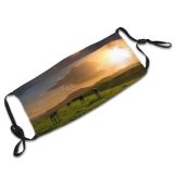 yanfind Dawn Landscape Australasia Dairy Victoria Tranquiy Agri Rural Pursuit Scene  Agricultural Dust Washable Reusable Filter and Reusable Mouth Warm Windproof Cotton Face