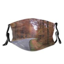 yanfind Lane Road Deciduous Landscape Leaf Trees Infrastructure Tree Forest Road Natural Autumn Dust Washable Reusable Filter and Reusable Mouth Warm Windproof Cotton Face