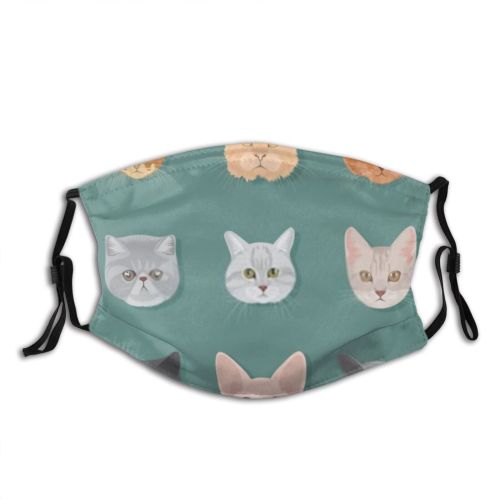 yanfind Isolated Fur Young Artwork Meow Cat Kitty British Cute Kittens Calico Colorful Dust Washable Reusable Filter and Reusable Mouth Warm Windproof Cotton Face