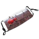yanfind Winter Rose Macro Plant Twig Tree Winter Fruit Hip Plants Dry Rosehips Dust Washable Reusable Filter and Reusable Mouth Warm Windproof Cotton Face
