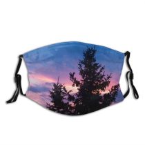 yanfind Winter Sky Natural Atmospheric Cloud Landscape Sky Clouds Pine Afterglow Tree Tree Dust Washable Reusable Filter and Reusable Mouth Warm Windproof Cotton Face