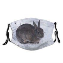 yanfind Winter Sweden Hares Bunny Keys Snow Mountain Rabbit Marsh Lower Snowshoe Vertebrate Dust Washable Reusable Filter and Reusable Mouth Warm Windproof Cotton Face