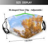 yanfind Temperate Sky Bushes Woody Leaves Sky Plant Broadleaf Aspen Clouds Forest Leaf Dust Washable Reusable Filter and Reusable Mouth Warm Windproof Cotton Face