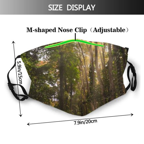 yanfind Idyllic Tropical Calm Unpaved Flora Jungle Sunbeams Forest Plants Rays Tranquil Scenery Dust Washable Reusable Filter and Reusable Mouth Warm Windproof Cotton Face