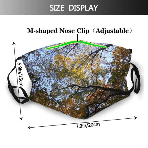 yanfind Zachodniopomorskie Temperate Autumn Woody Landscape Plant Broadleaf Branch Poland Forest Leaf Hardwood Dust Washable Reusable Filter and Reusable Mouth Warm Windproof Cotton Face