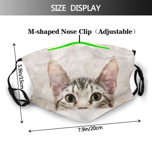 yanfind Canvas Brush Fur Young Cat Cute Macro Baby Sweet Face Pet Dry Dust Washable Reusable Filter and Reusable Mouth Warm Windproof Cotton Face