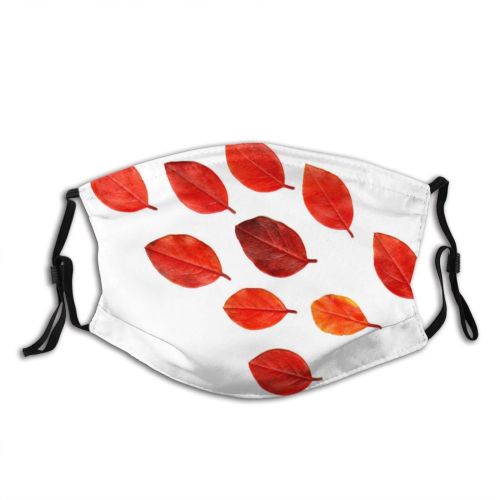 yanfind Leaves Leaf Forest Garden Colerful Leaf Plant Tree Petal Autumn Coquelicot Dust Washable Reusable Filter and Reusable Mouth Warm Windproof Cotton Face