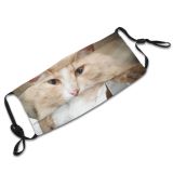 yanfind Manual Watch Fur Striped Cat Wool Warm Box Impudent Muzzle Rumbling Beautiful Dust Washable Reusable Filter and Reusable Mouth Warm Windproof Cotton Face