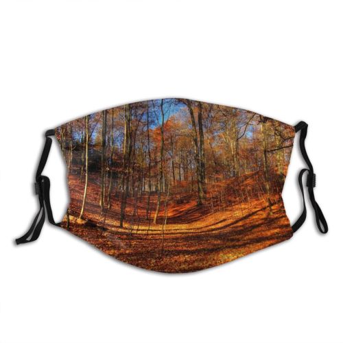 yanfind HDR Natural Autumn October Landscape Fall Forrest Leaf Forest Sunny Hardwood Leaf   Dust Washable Reusable Filter and Reusable Mouth Warm Windproof Cotton Face