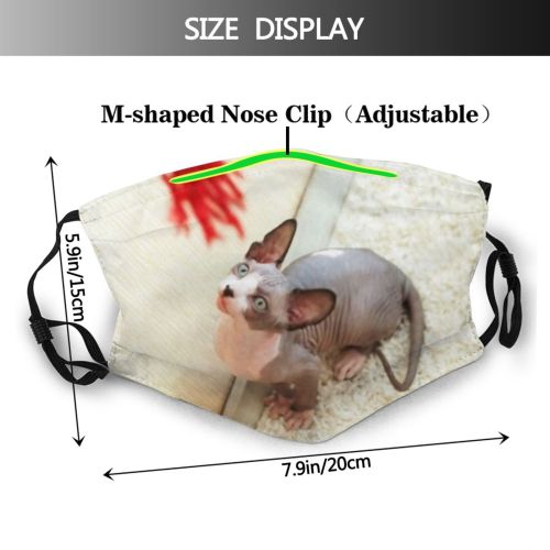 yanfind Naked Young Born Cat Kitty Cute Sphinx Grey Skin Canadian Pedigreed Hairless Dust Washable Reusable Filter and Reusable Mouth Warm Windproof Cotton Face