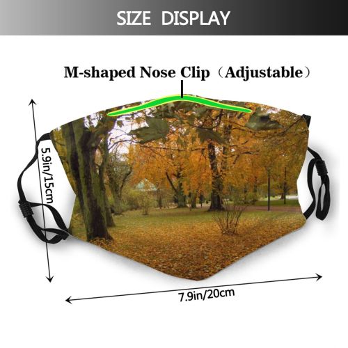 yanfind Deciduous Leaf Landscape Leaf Tree Tree Plant Natural Autumn Autumn Woodland Woody Dust Washable Reusable Filter and Reusable Mouth Warm Windproof Cotton Face