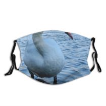 yanfind Neck Geese Vertebrate Duck Swans Lake Bird Bird Waterfowl Ducks Swan Swan Dust Washable Reusable Filter and Reusable Mouth Warm Windproof Cotton Face
