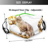 yanfind Garden Fur Hunter Meow Cat Kitty Cute Striped Limb Emotions Wildlife Summer Dust Washable Reusable Filter and Reusable Mouth Warm Windproof Cotton Face
